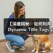 【深度揭秘:如何利用Dynamic Title Tags实现个性化内容优化】(图1) 【深度揭秘:如何利用Dynamic Title Tags实现个性化内容优化】(图1)