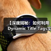 【深度揭秘:如何利用Dynamic Title Tags实现个性化内容优化】(图3) 【深度揭秘:如何利用Dynamic Title Tags实现个性化内容优化】(图3)