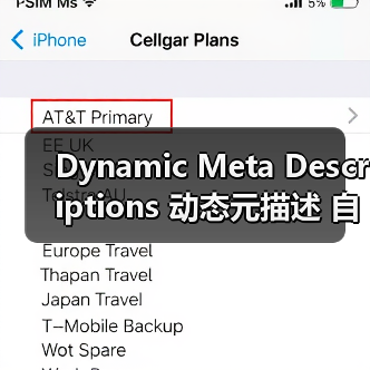 Dynamic Meta Descriptions 动态元描述 自动生成 吸引点击（图4）