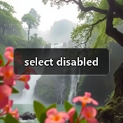 select disabled