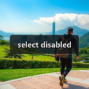 select disabled（图2）
