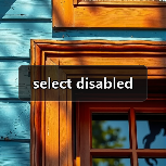 select disabled（图4）