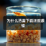为什么迅雷下载速度很慢(图3) 为什么迅雷下载速度很慢(图3)