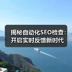 揭秘自动化SEO检查：开启实时反馈新时代（图3）