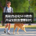 揭秘自动化SEO检查：开启实时反馈新时代（图4）