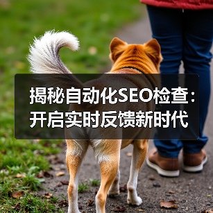 揭秘自动化SEO检查：开启实时反馈新时代（图2）