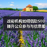政府机构如何借助SEO提升公众参与与信息服务效率(图1) 政府机构如何借助SEO提升公众参与与信息服务效率(图1)