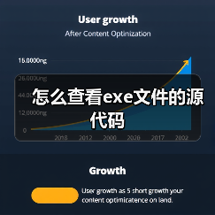 怎么查看exe文件的源代码