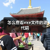 怎么查看exe文件的源代码（图3）