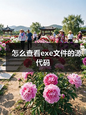 怎么查看exe文件的源代码（图4）