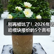 别再被坑了！2026年功能模块报价的5个真相（图2）
