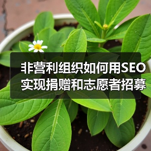 非营利组织如何用SEO实现捐赠和志愿者招募的极大突破(图4) 非营利组织如何用SEO实现捐赠和志愿者招募的极大突破(图4)