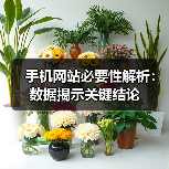 手机网站必要性解析：数据揭示关键结论（图2）