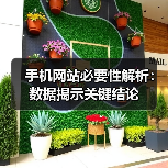 手机网站必要性解析：数据揭示关键结论（图4）