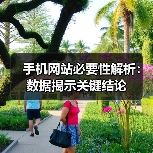 手机网站必要性解析：数据揭示关键结论（图3）