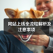 网站上线全流程解析及注意事项（图4）