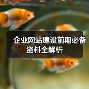 企业网站建设前期必备资料全解析（图2）