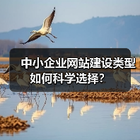 中小企业网站建设类型如何科学选择？（图4）