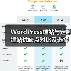 WordPress建站与定制建站优缺点对比及选择建议