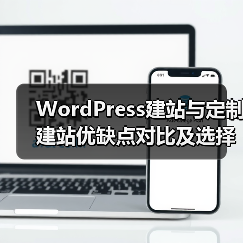 WordPress建站与定制建站优缺点对比及选择建议（图3）