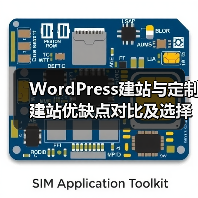 WordPress建站与定制建站优缺点对比及选择建议（图4）