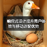 响应式设计提升用户体验与移动适配优势（图3）