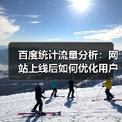 百度统计流量分析：网站上线后如何优化用户行为？（图4）