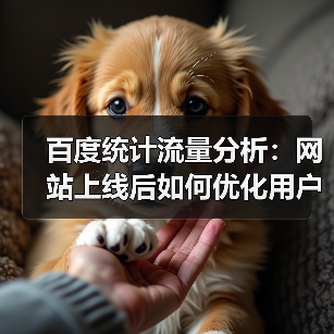 百度统计流量分析：网站上线后如何优化用户行为？（图3）