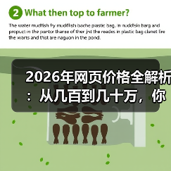 2026年网页价格全解析：从几百到几十万，你的预算该放哪？（图4）