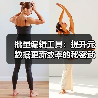 批量编辑工具：提升元数据更新效率的秘密武器（图4）