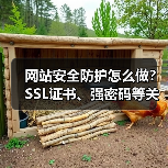 网站安全防护怎么做？SSL证书、强密码等关键步骤详解（图3）