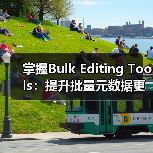掌握Bulk Editing Tools：提升批量元数据更新的效率秘密