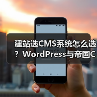 建站选CMS系统怎么选？WordPress与帝国CMS功能、安全性、性能对比分析