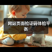网站页面验证码体验平衡（图3）