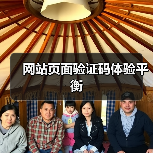网站页面验证码体验平衡
