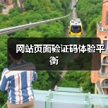 网站页面验证码体验平衡（图4）
