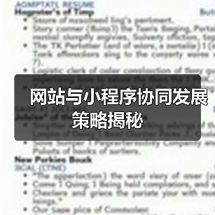 网站与小程序协同发展策略揭秘