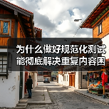 为什么做好规范化测试能彻底解决重复内容困扰?揭秘权威页面背后的秘密(图1) 为什么做好规范化测试能彻底解决重复内容困扰?揭秘权威页面背后的秘密(图1)