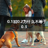 0.1加0.2为什么不等于0.3(图1) 0.1加0.2为什么不等于0.3(图1)