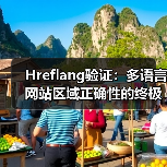 Hreflang验证:多语言网站区域正确性的终极指南(图2) Hreflang验证:多语言网站区域正确性的终极指南(图2)