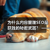 为什么内容管理SEO是获胜的秘密武器？ —— 深度解析如何打造SEO友好的内容策略