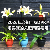 2026年必知：GDPR合规实施的关键策略与用户权益保护（图2）