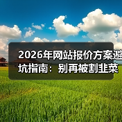 2026年网站报价方案避坑指南：别再被割韭菜了！（图2）