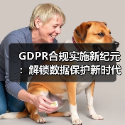 GDPR合规实施新纪元：解锁数据保护新时代的秘密武器