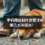 手机网站制作需要注意哪几大关键点？（图3）