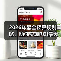 2026年最全预算规划策略，助你实现ROI最大化（图4）