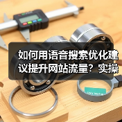 如何用语音搜索优化建议提升网站流量？实操秘籍全揭秘（图2）