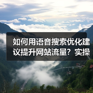 如何用语音搜索优化建议提升网站流量？实操秘籍全揭秘（图4）