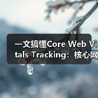 一文搞懂Core Web Vitals Tracking：核心网页指标监控的制胜秘籍（图2）