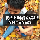 网站建设中的全球数据存储与安全合规（图2）